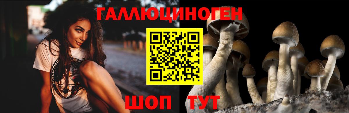 Псилоцибиновые грибы MAGIC MUSHROOMS  Вход с VPN  Псилоцибиновые грибы MAGIC MUSHROOMS  как найти   Муравленко 